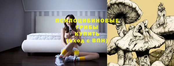 кокаин премиум Алексеевка